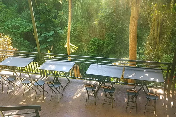 Jungle Hideaway Villas - Chair Enjoying View