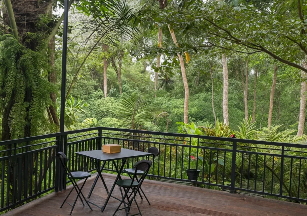 Jungle Hideaway Villas Outdoor Jungle View