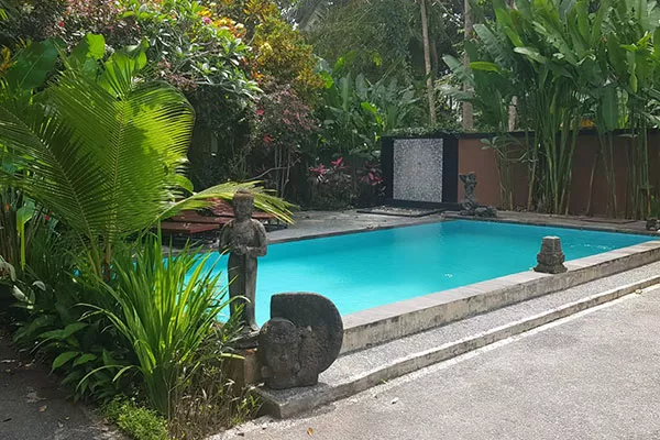 Jungle Hideaway Villas - Pool