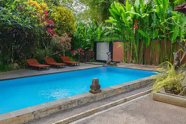 Jungle Hideaway Villas - Swimming Pool