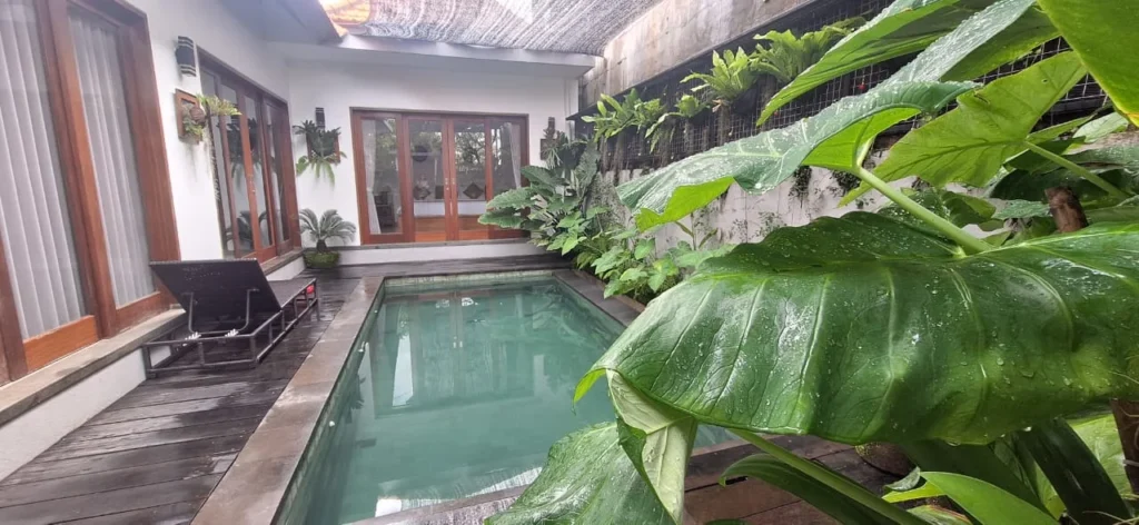MGM3 Pool View