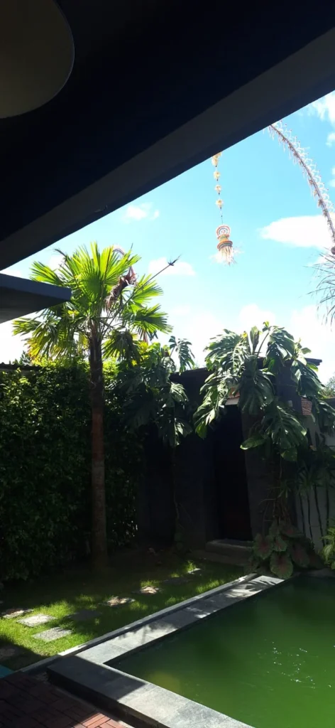 Pool View - MGM1
