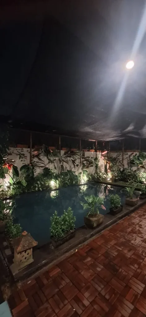Pool at Night Time - MGM1