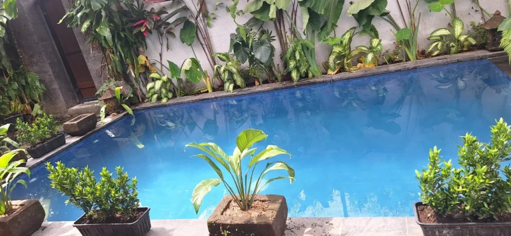 Swimming Pool - Maya Garden Manor